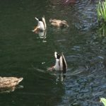 初めまして！ブログはじめます。