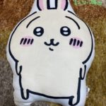 うさぎの抱き枕ゲット！！